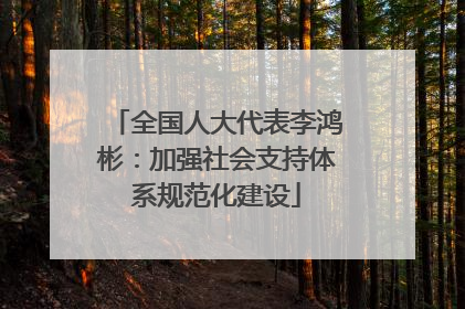 全国人大代表李鸿彬：加强社会支持体系规范化建设