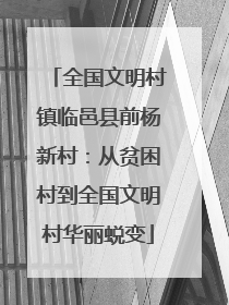 全国文明村镇临邑县前杨新村：从贫困村到全国文明村华丽蜕变
