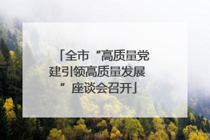 全市“高质量党建引领高质量发展”座谈会召开
