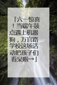 六一惊喜！当端午鼓点遇上机器狗，万官路学校这场活动把孩子们看呆啦→