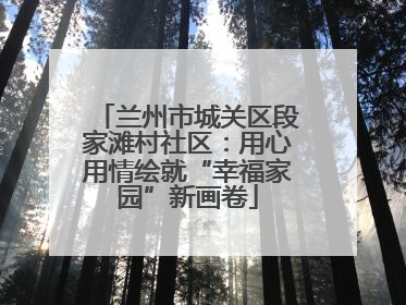 兰州市城关区段家滩村社区：用心用情绘就“幸福家园”新画卷
