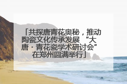 共探唐青花奥秘，推动陶瓷文化传承发展 “大唐・青花瓷学术研讨会”在郑州圆满举行