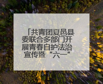 共青团夏邑县委联合多部门开展青春自护法治宣传暨“六一”主题日活动