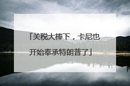 关税大棒下，卡尼也开始奉承特朗普了