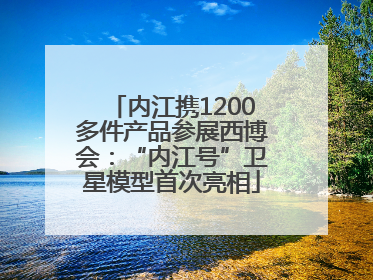 内江携1200多件产品参展西博会：“内江号”卫星模型首次亮相