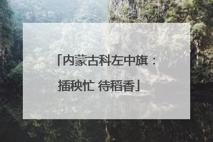 内蒙古科左中旗：插秧忙 待稻香