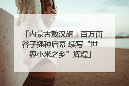 内蒙古敖汉旗：百万亩谷子播种启幕 续写“世界小米之乡”辉煌