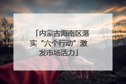 内蒙古海南区落实“六个行动”激发市场活力