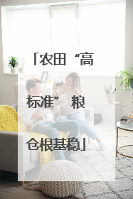 农田“高标准” 粮仓根基稳