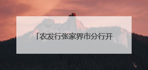 农发行张家界市分行开展“6.14 信用记录关爱日”系列活动