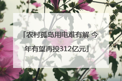农村孤岛用电难有解 今年有望再投312亿元