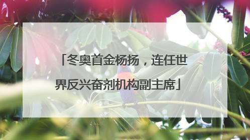 冬奥首金杨扬，连任世界反兴奋剂机构副主席