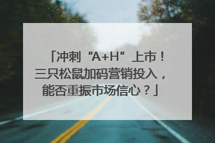 冲刺“A+H”上市！三只松鼠加码营销投入，能否重振市场信心？