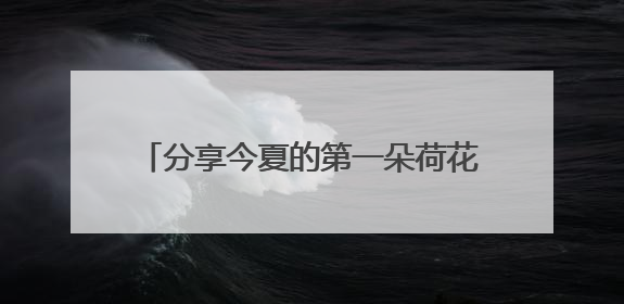 分享今夏的第一朵荷花！来杨浦这座公园吧