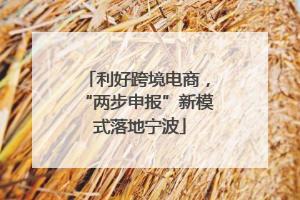 利好跨境电商，“两步申报”新模式落地宁波