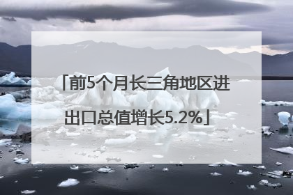 前5个月长三角地区进出口总值增长5.2%