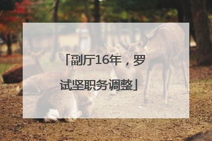 副厅16年，罗试坚职务调整