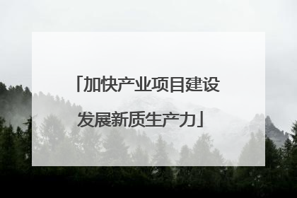 加快产业项目建设 发展新质生产力