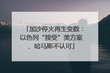 加沙停火再生变数：以色列“接受”美方案、哈马斯不认可