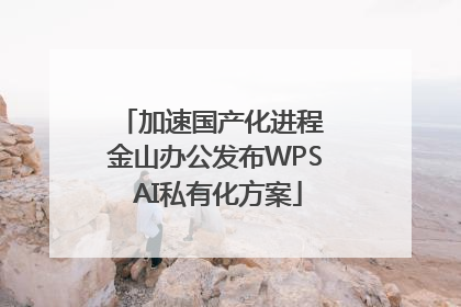 加速国产化进程 金山办公发布WPS AI私有化方案