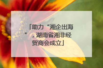 助力“湘企出海”，湖南省湘非经贸商会成立