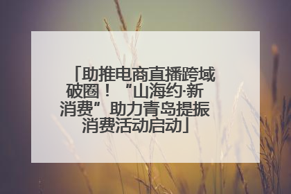 助推电商直播跨域破圈！“山海约·新消费”助力青岛提振消费活动启动