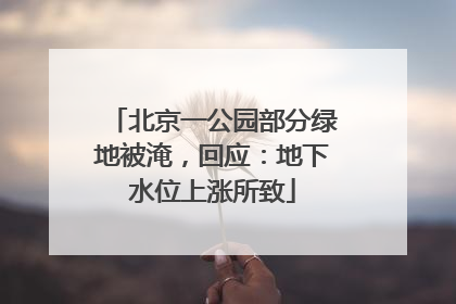 北京一公园部分绿地被淹，回应：地下水位上涨所致