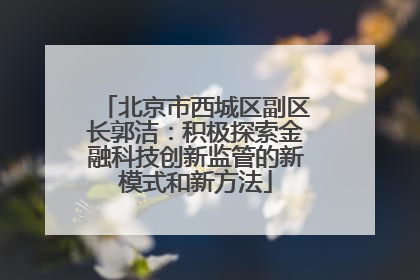 北京市西城区副区长郭洁：积极探索金融科技创新监管的新模式和新方法