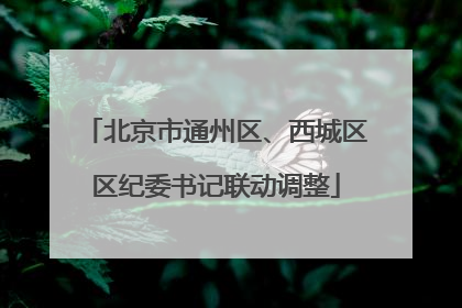 北京市通州区、西城区区纪委书记联动调整