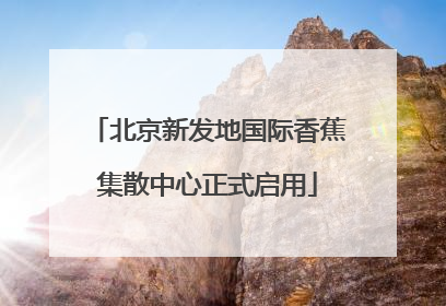 北京新发地国际香蕉集散中心正式启用