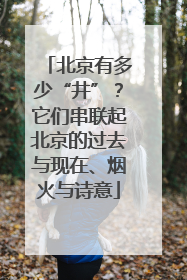 北京有多少“井”？它们串联起北京的过去与现在、烟火与诗意