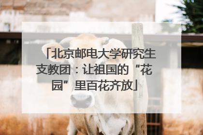 北京邮电大学研究生支教团：让祖国的“花园”里百花齐放