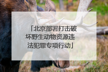 北京部署打击破坏野生动物资源违法犯罪专项行动