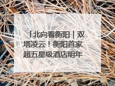 北向看衡阳｜双塔凌云！衡阳首家超五星级酒店明年6月开业