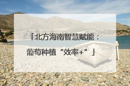 北方海南智慧赋能：葡萄种植“效率+”