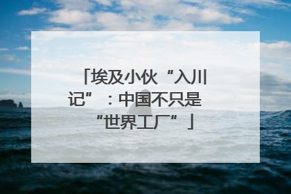 埃及小伙“入川记”：中国不只是“世界工厂”