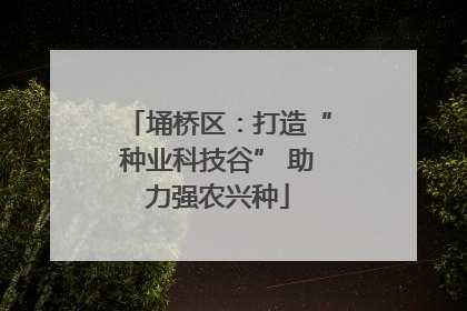 埇桥区：打造“种业科技谷” 助力强农兴种