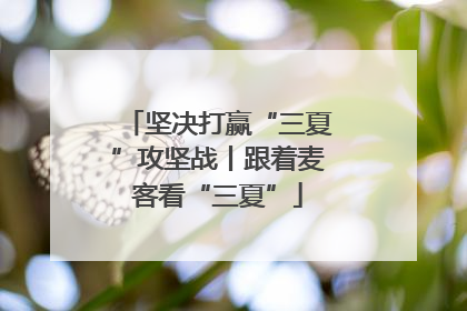 坚决打赢“三夏”攻坚战丨跟着麦客看“三夏”