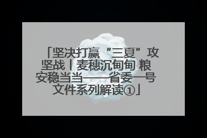 坚决打赢“三夏”攻坚战丨麦穗沉甸甸 粮安稳当当——省委一号文件系列解读①