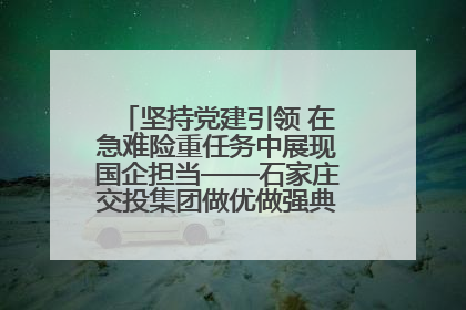 坚持党建引领 在急难险重任务中展现国企担当——石家庄交投集团做优做强典型报道之一