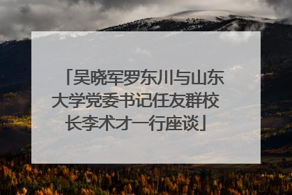 吴晓军罗东川与山东大学党委书记任友群校长李术才一行座谈