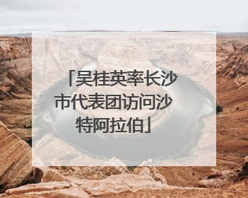 吴桂英率长沙市代表团访问沙特阿拉伯