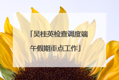 吴桂英检查调度端午假期重点工作