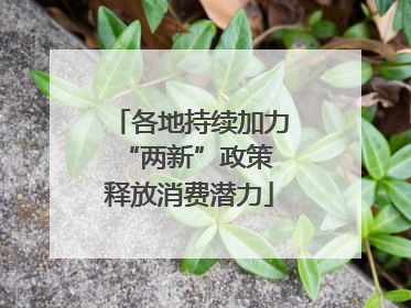 各地持续加力“两新”政策 释放消费潜力