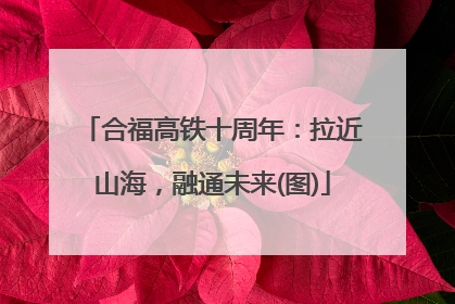 合福高铁十周年：拉近山海，融通未来(图)