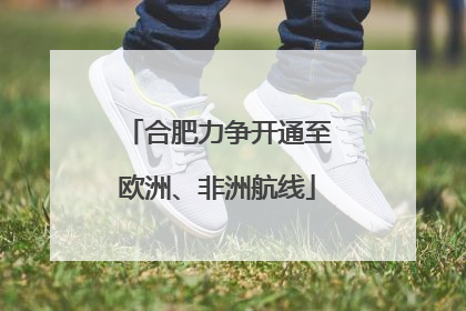 合肥力争开通至欧洲、非洲航线