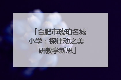 合肥市琥珀名城小学：探律动之美 研教学新思