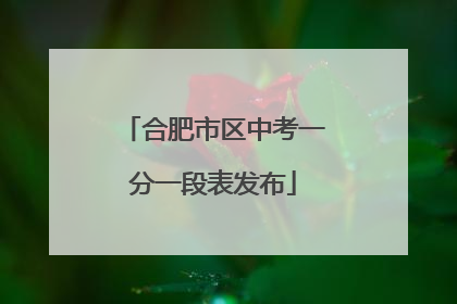合肥市区中考一分一段表发布