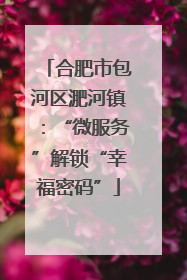 合肥市包河区淝河镇：“微服务”解锁“幸福密码”