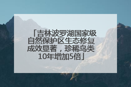 吉林波罗湖国家级自然保护区生态修复成效显著，珍稀鸟类10年增加5倍